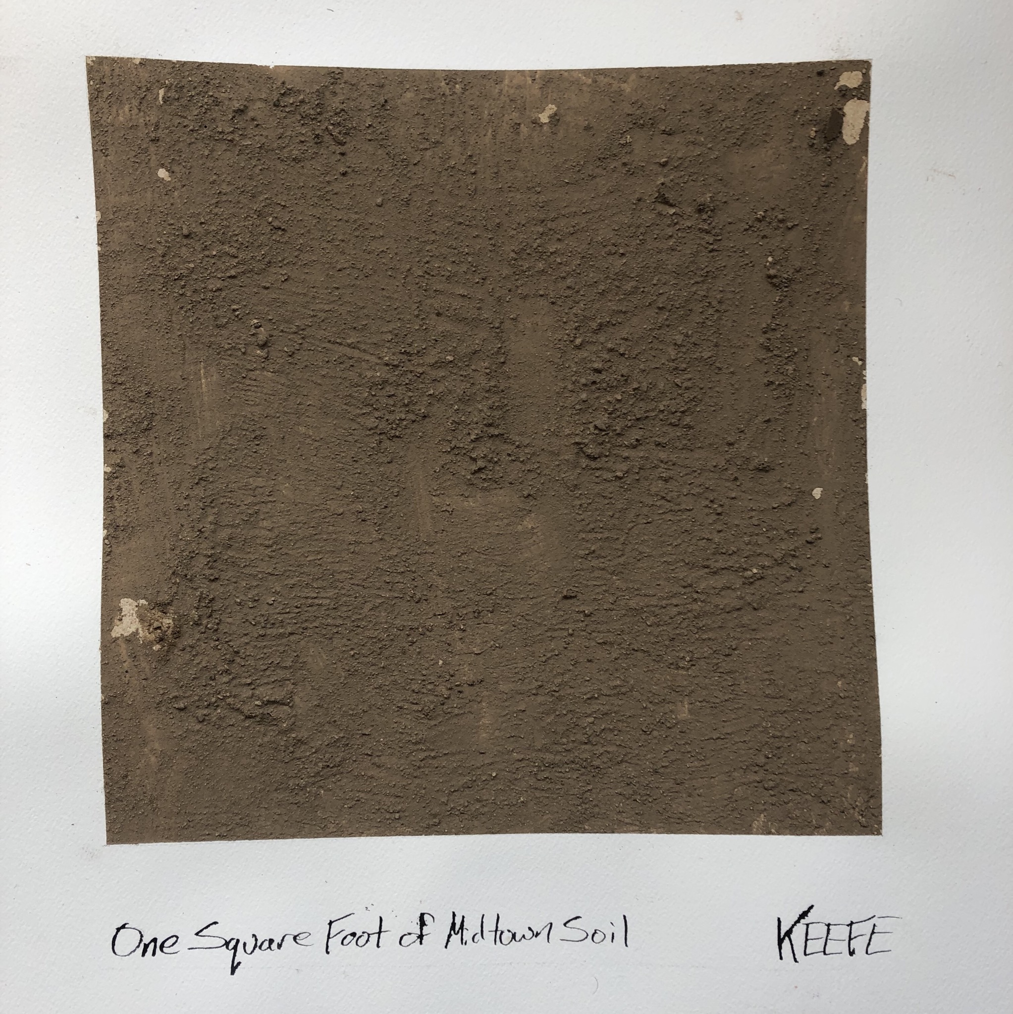 One Square Foot of Midtown Soil