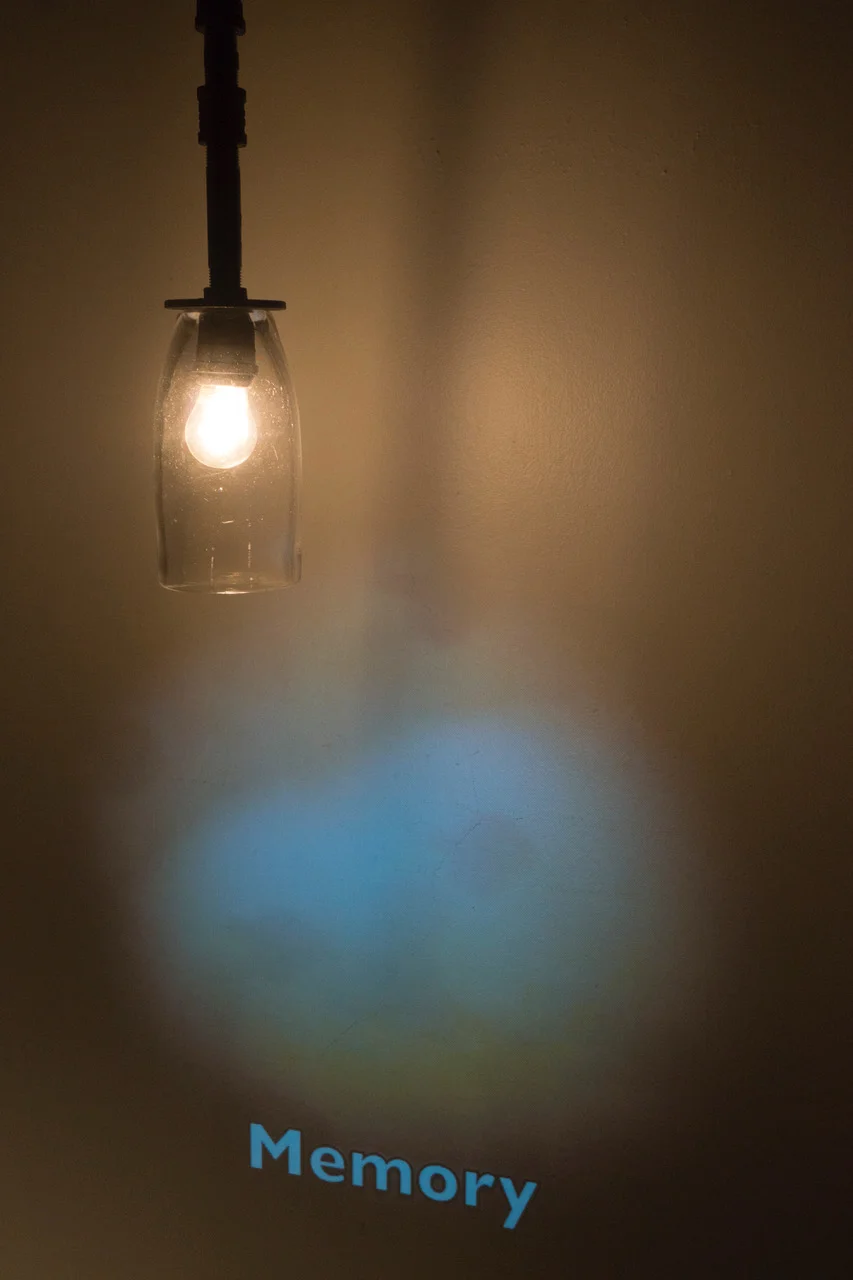 memory.jpeg