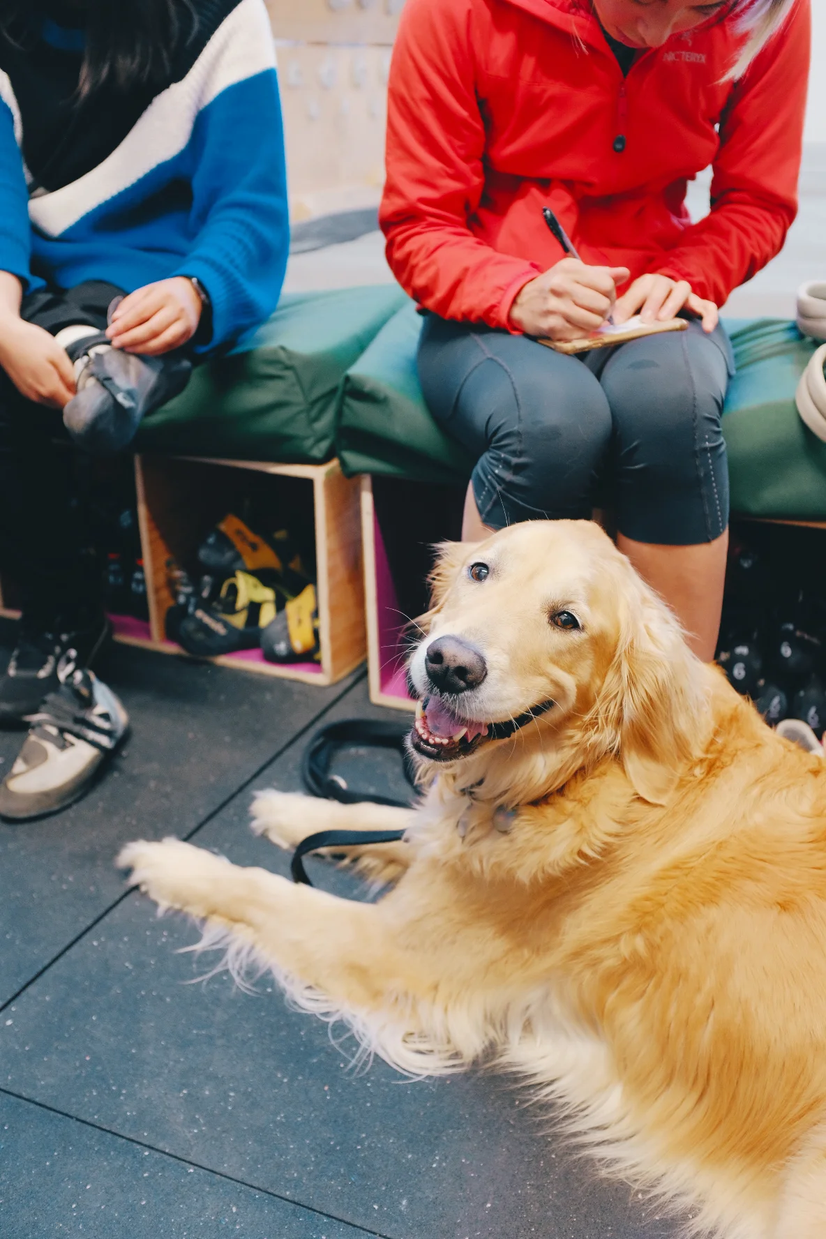Furry friends are welcome too!