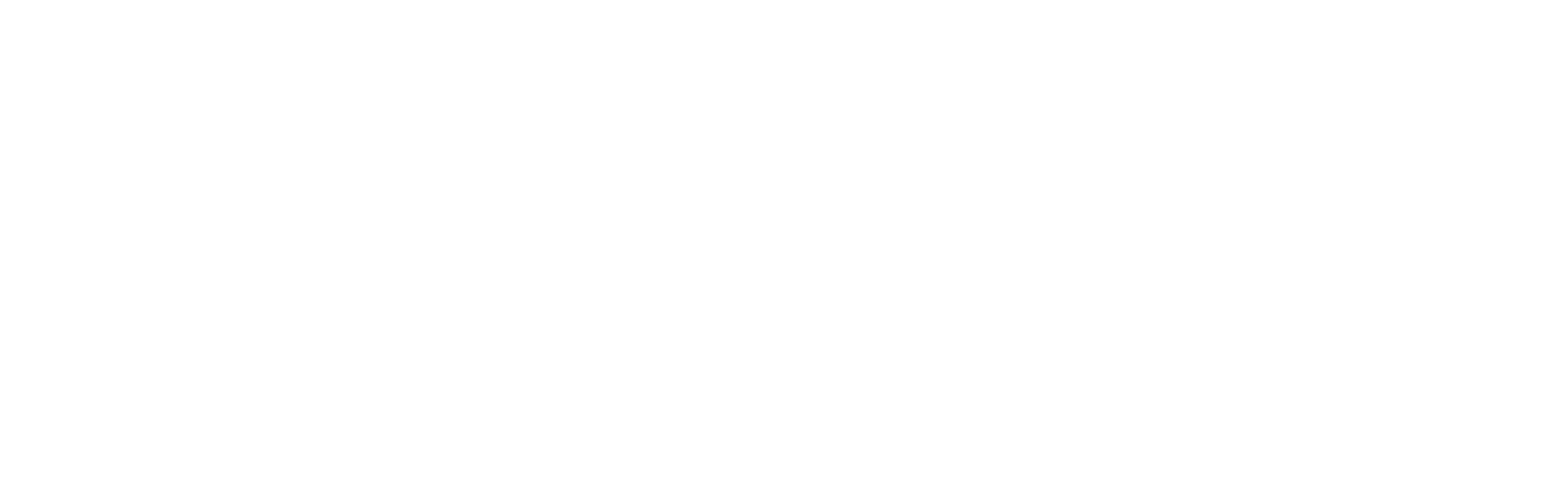 vice_logo.png