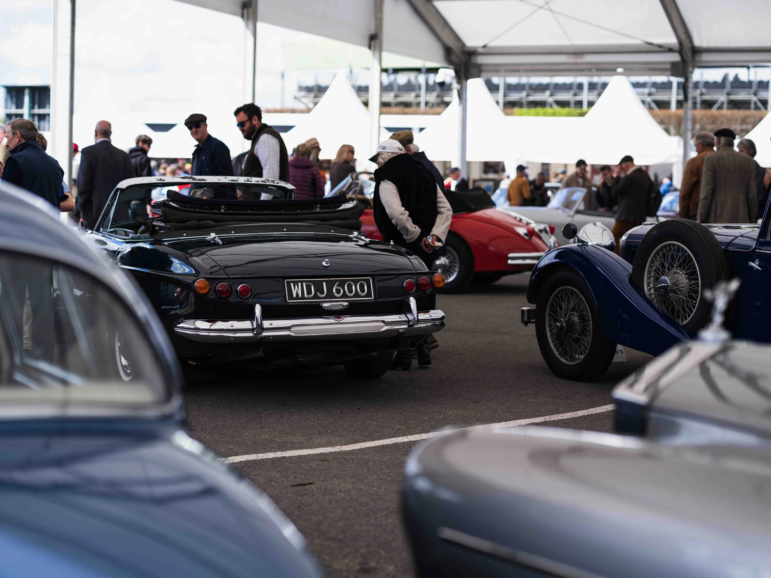 DSCF9658.jpg