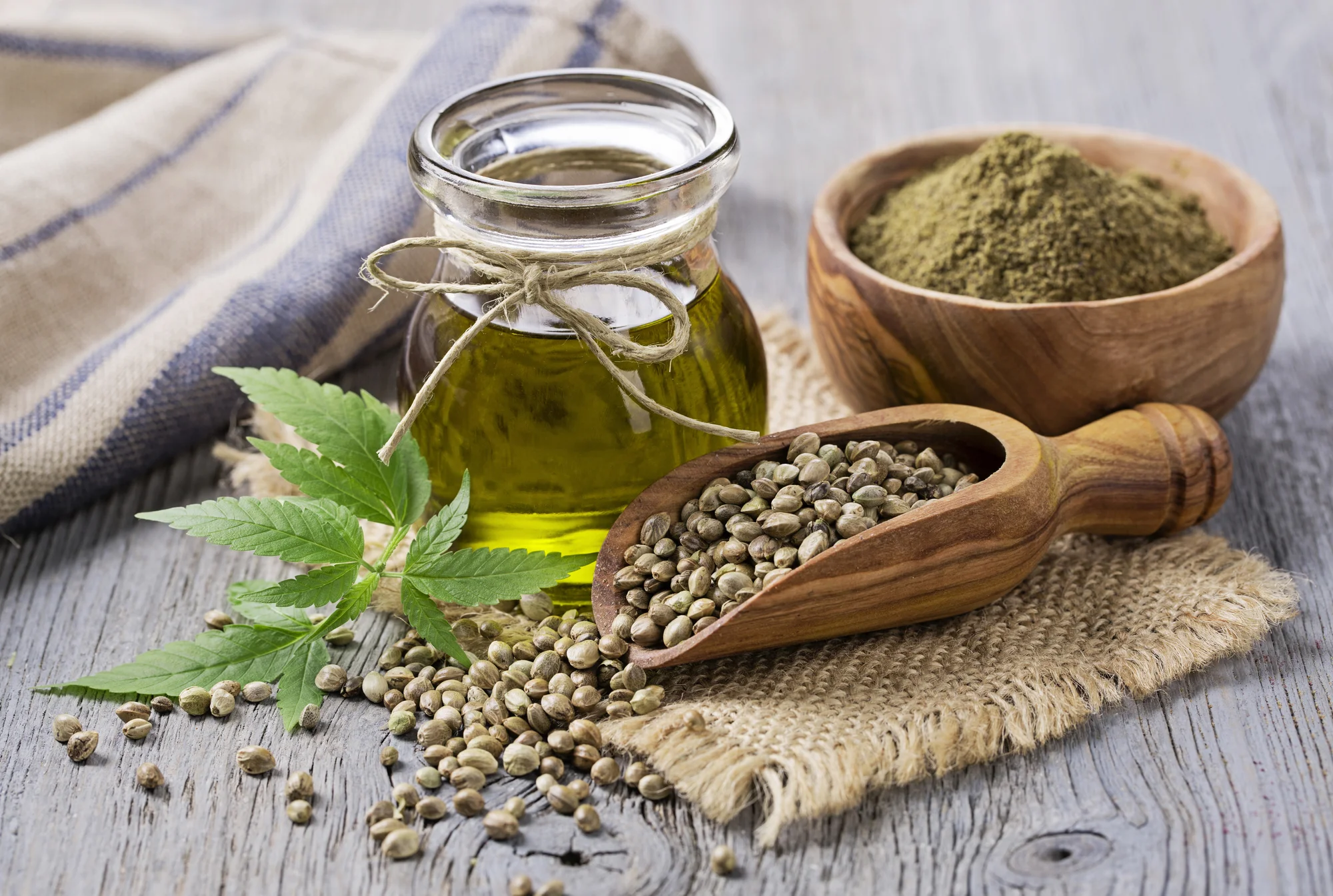 #hemp cannabis marijuana cbd thc weed oil hemp seed extract