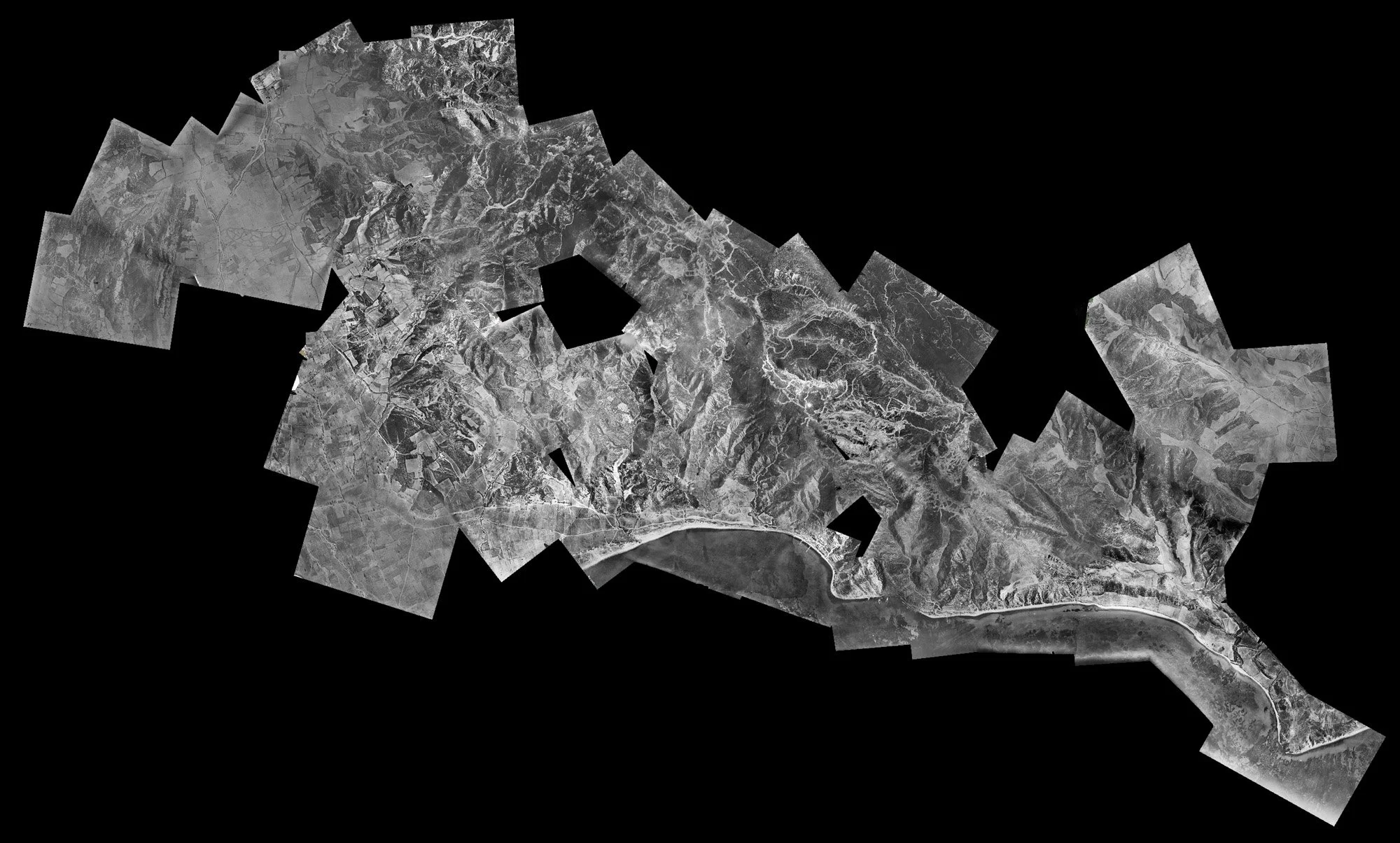 002 - WF-006902-001_B&W_GOOGLE.jpg