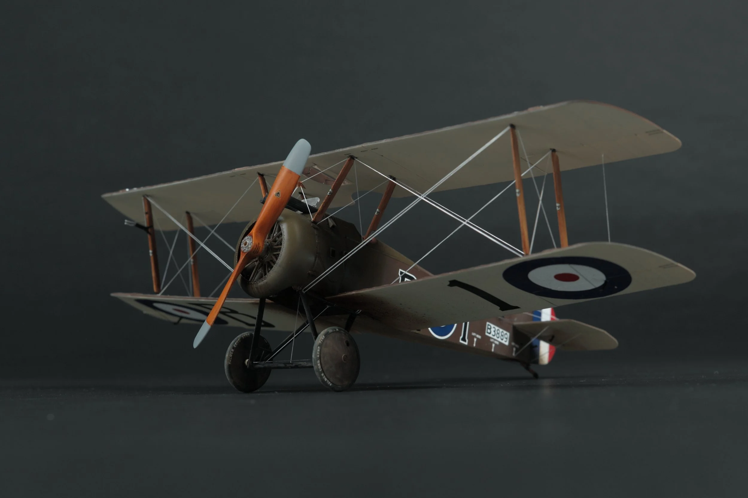 20161012-WnW-Camel-094.JPG
