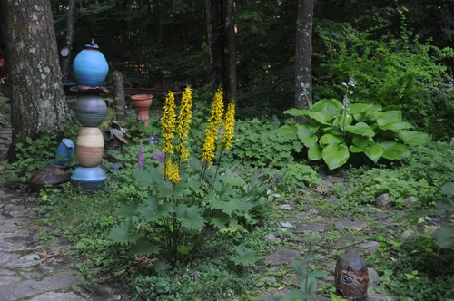 Studio Black Bear Pottery