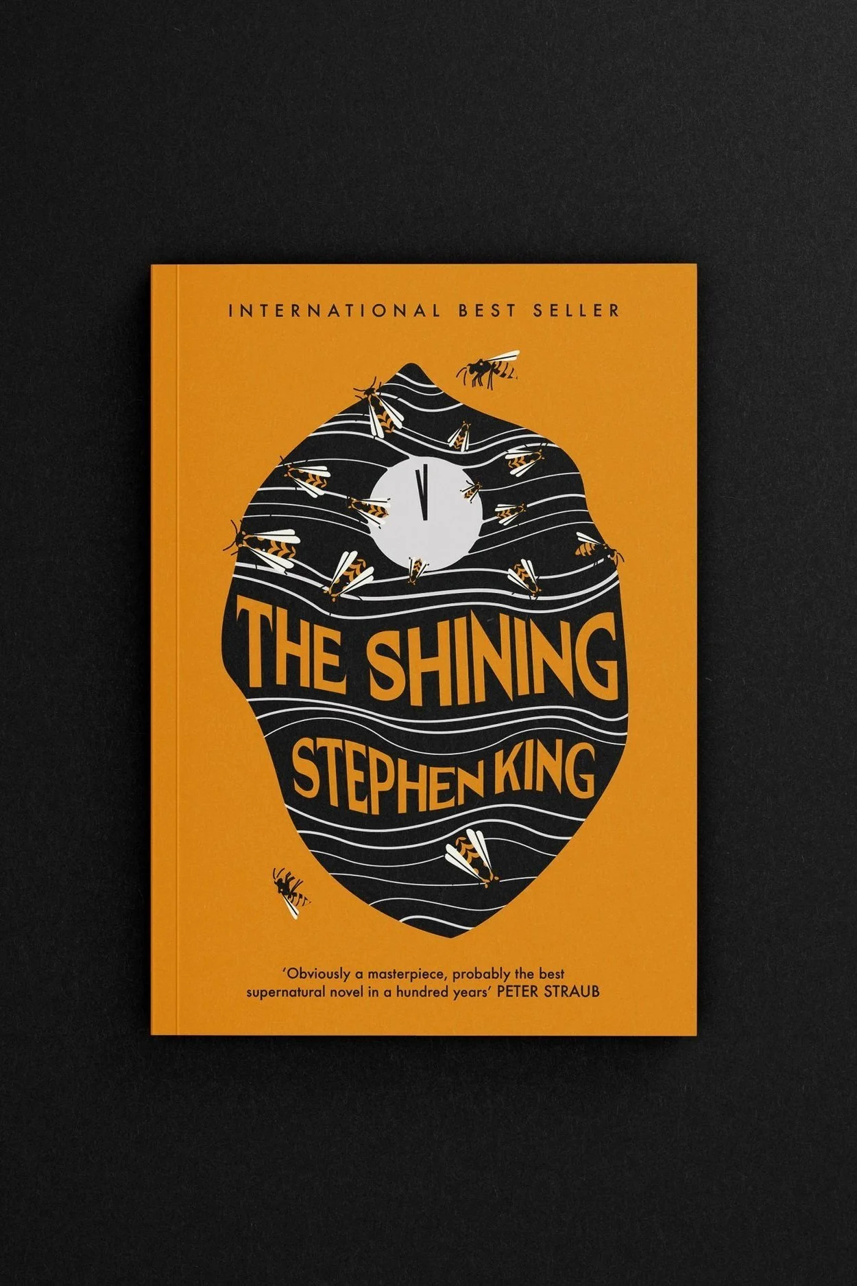 THE+SHINING+REIMAGINED+COVER.jpeg