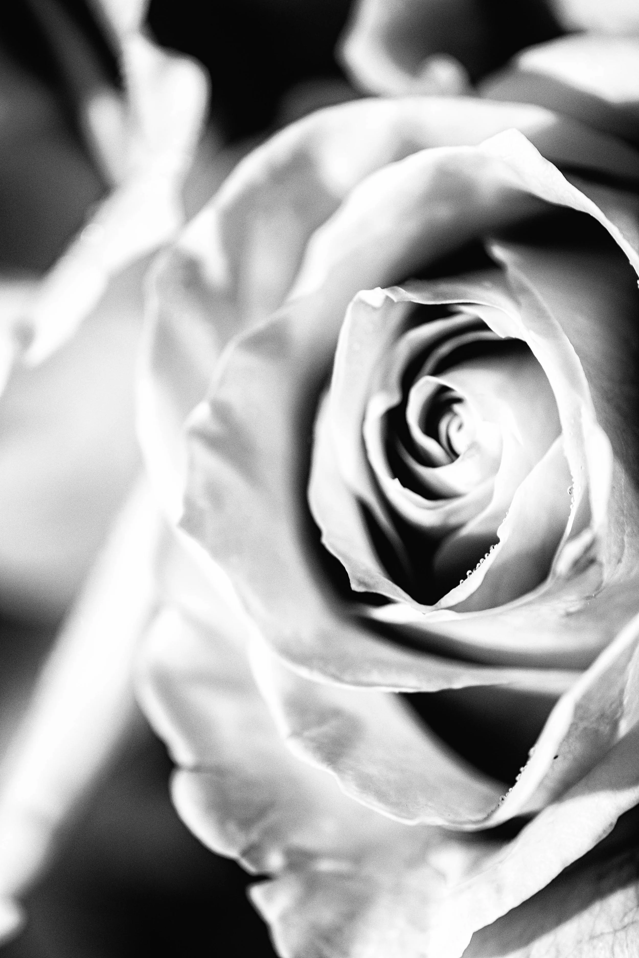 _7509065-Edit.jpg