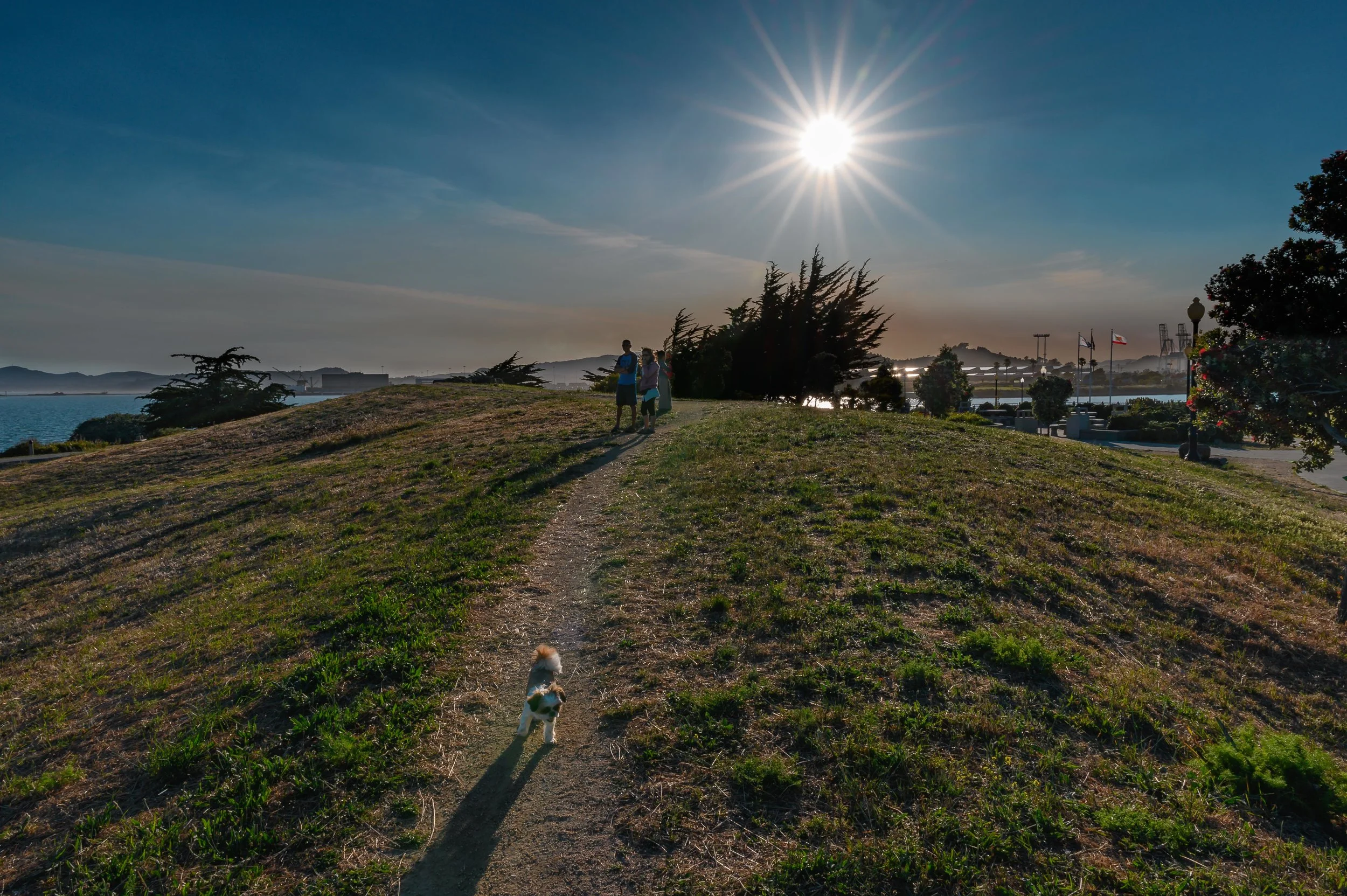_NZ60697-Edit.jpg