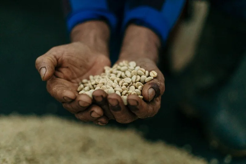 Colombia Tolima Multicoop Regenerative Organic