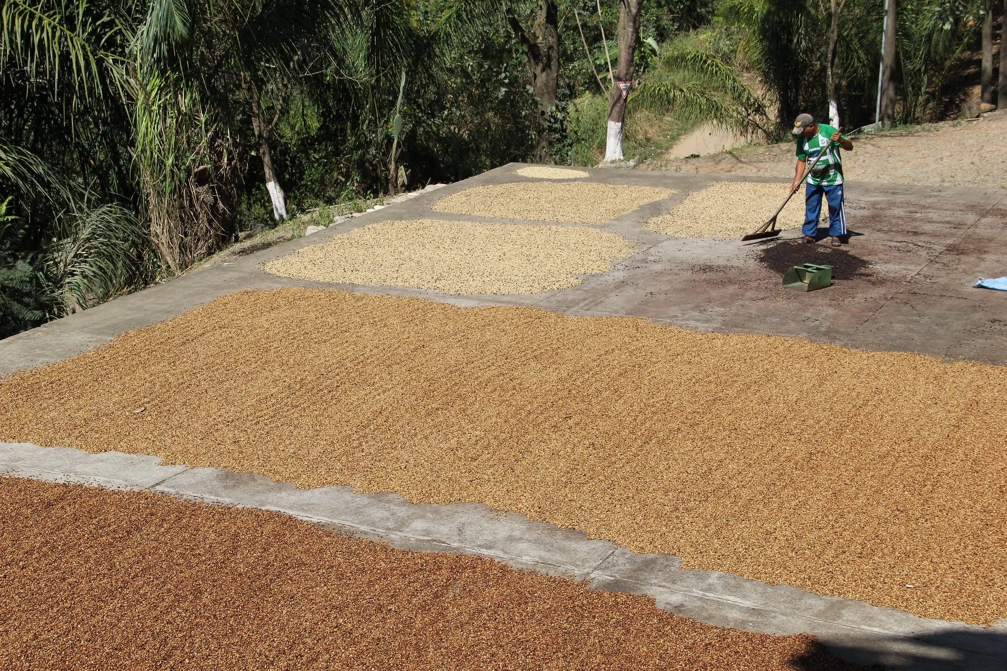 Bolivia Caravani Bio Arabica Fair Trade Organic