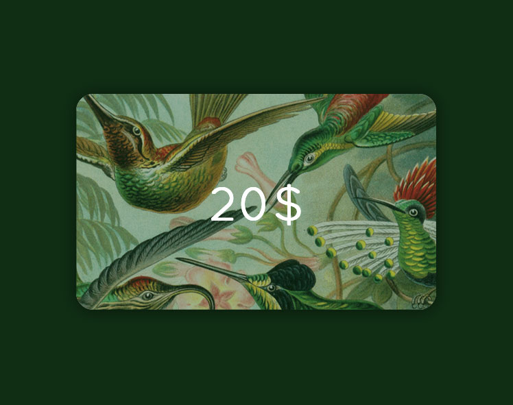 gift-card-20FR.jpg