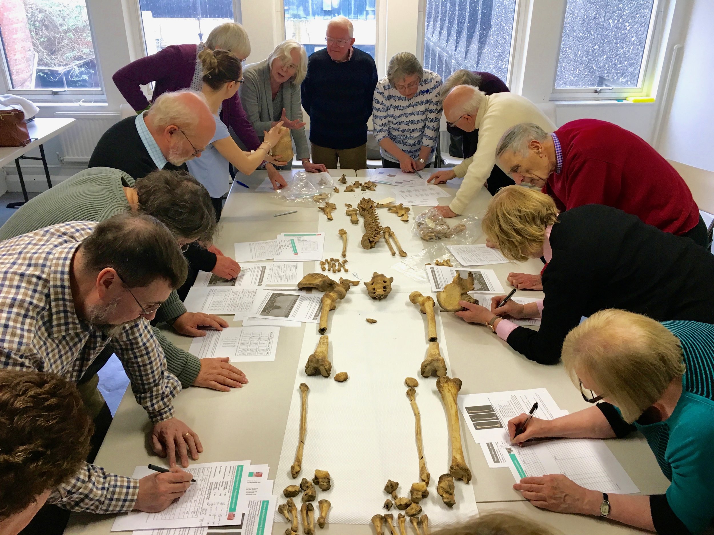 Archaeology class, Explore Lifelong Learning, Ampersand Inventions, March 2019.