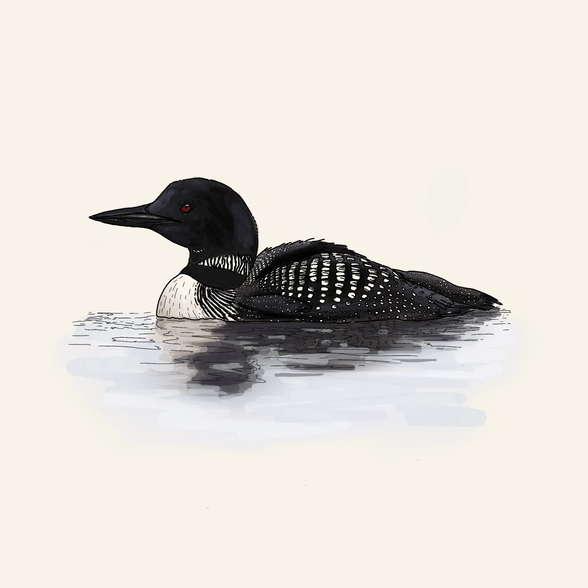 Loon