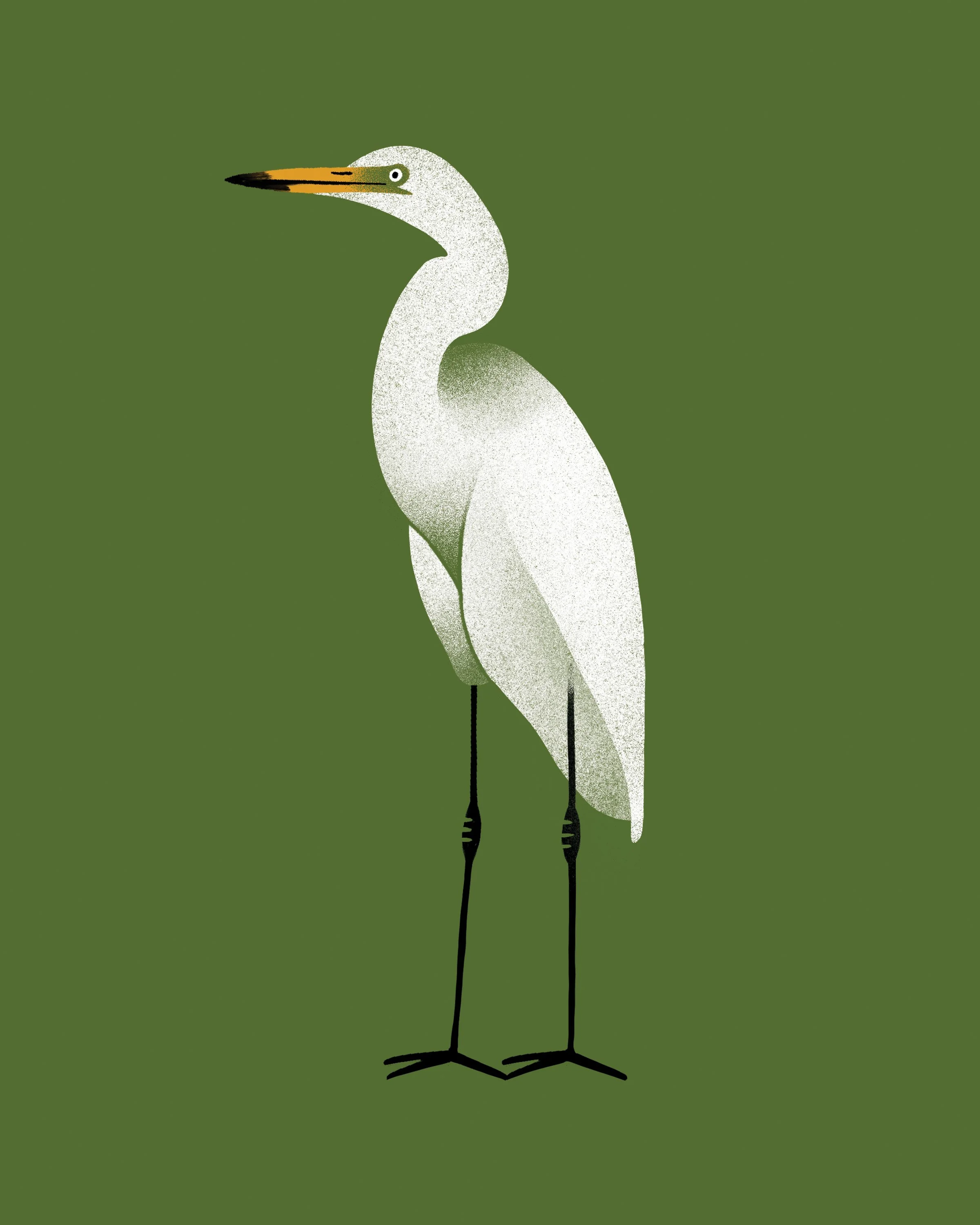 Egret