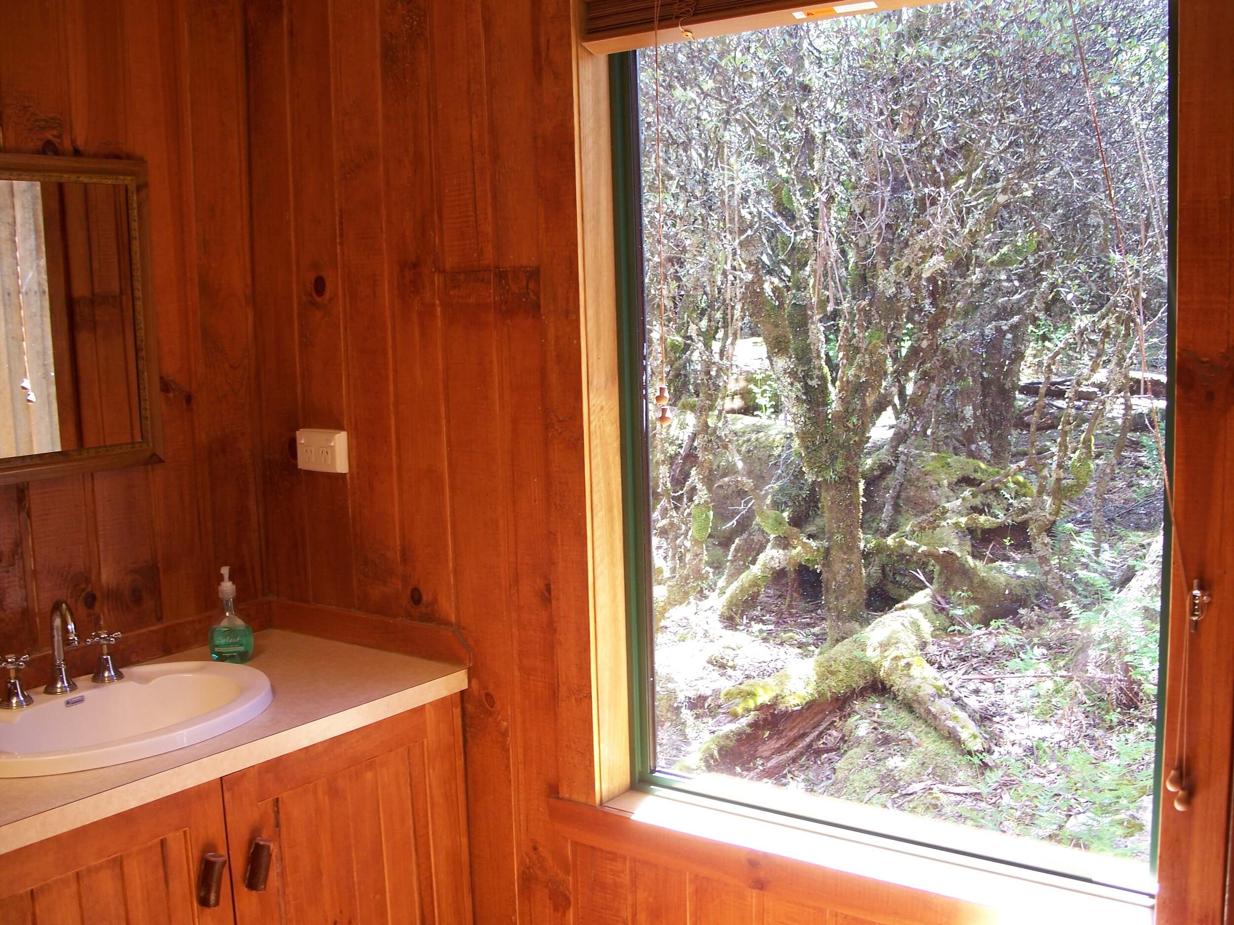 Tallow-wood bathroom-window-view.jpg