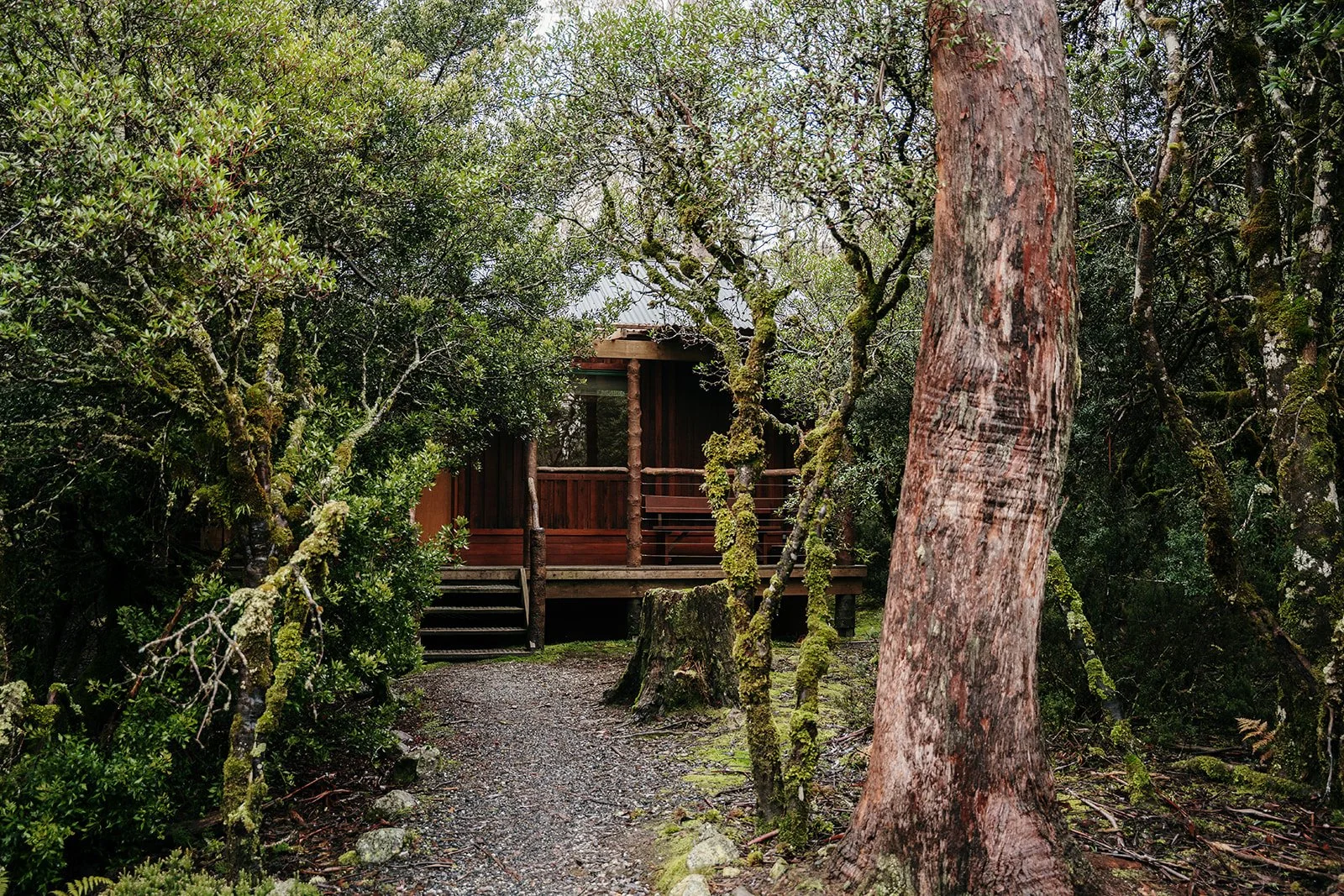 WW Q exterior 1.jpg