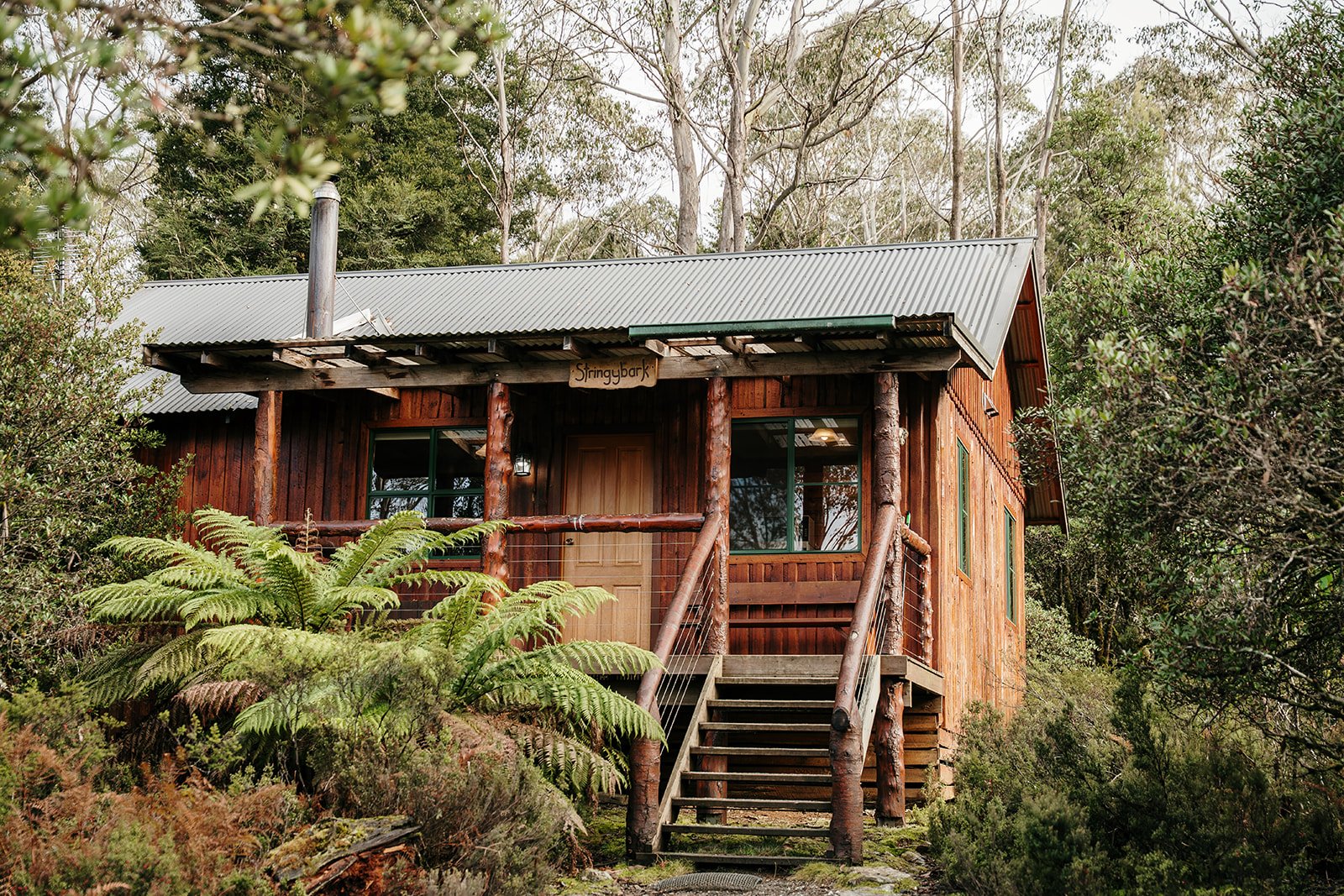 Exterior 3.jpg