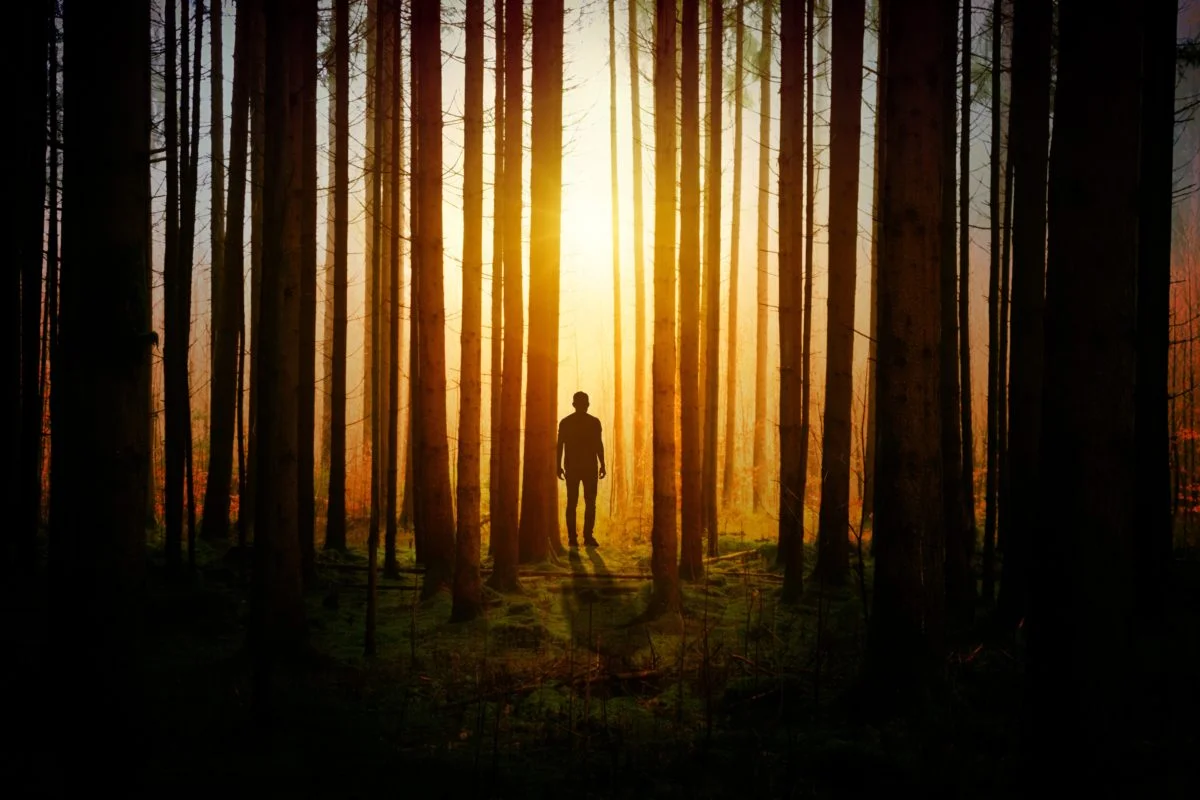 android-wallpaper-art-backlit-1114897-e1545176435728.jpg