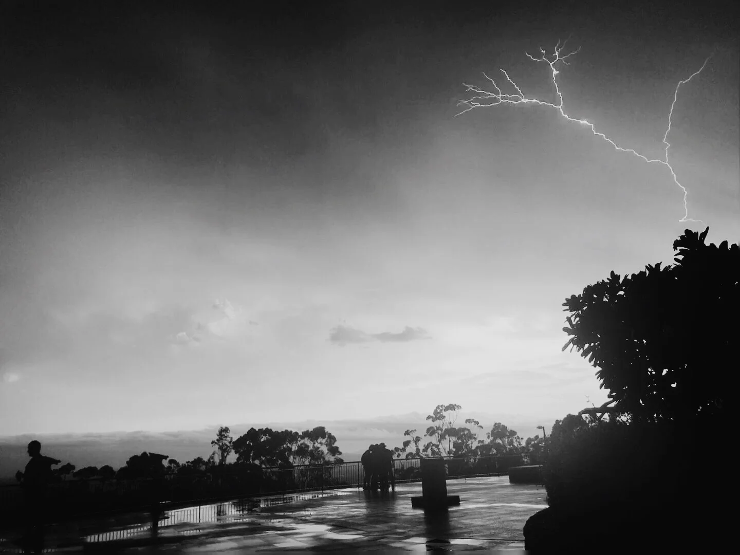 Protecting Your Home Against Storm Season