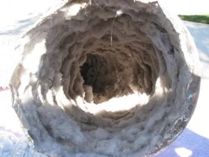 Corrugated Dryer Venting Clogged With Lint