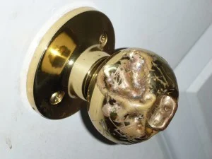 Pit Bulls Attack Door Knob