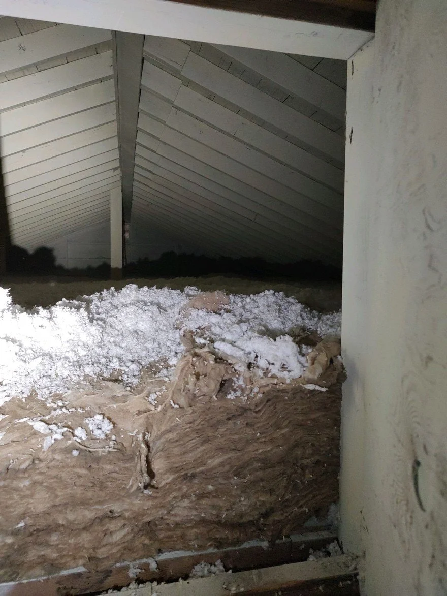Why Might Your Attic Space Be Painted White?