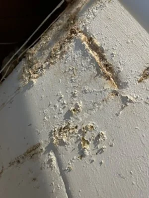 Efflorescence: What Every Homeowner Needs to Know