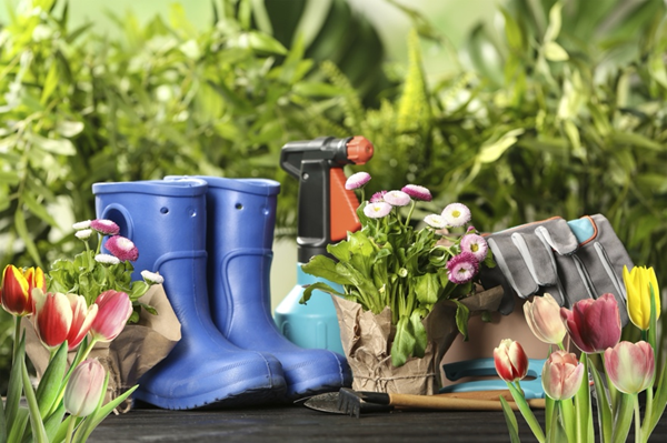 Spring Projects for Home Maintenance: Tips from Your Minnesota Home Inspector
