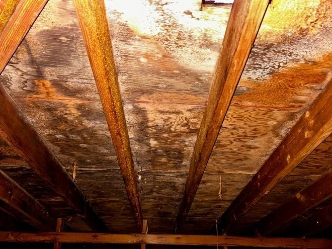 Attic with insulation