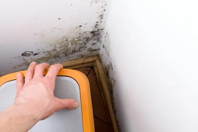 Mold in corner