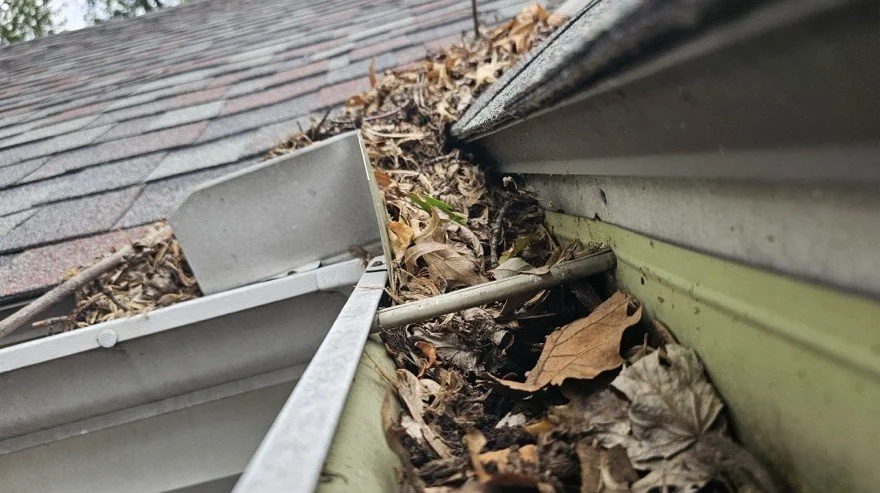 Gutter filled with leaves