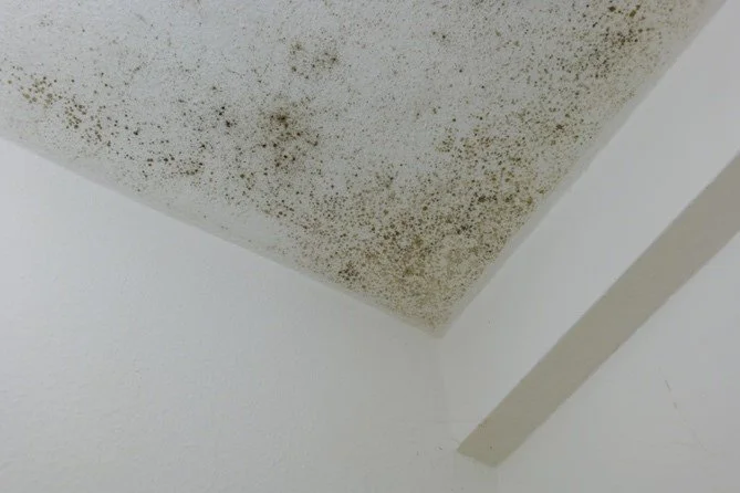 Mold on ceiling