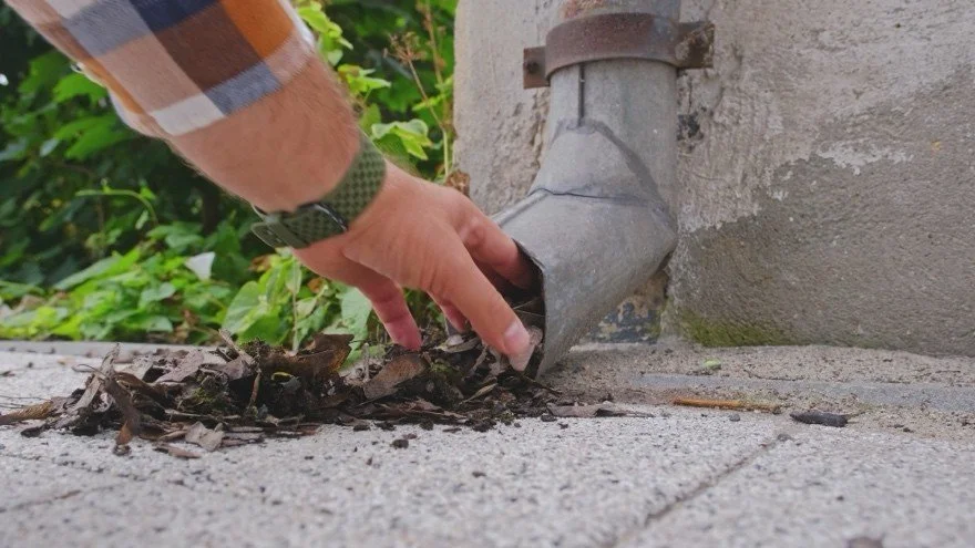 Removing leaves from downspout.