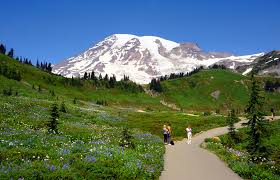 Mount Rainier.jfif