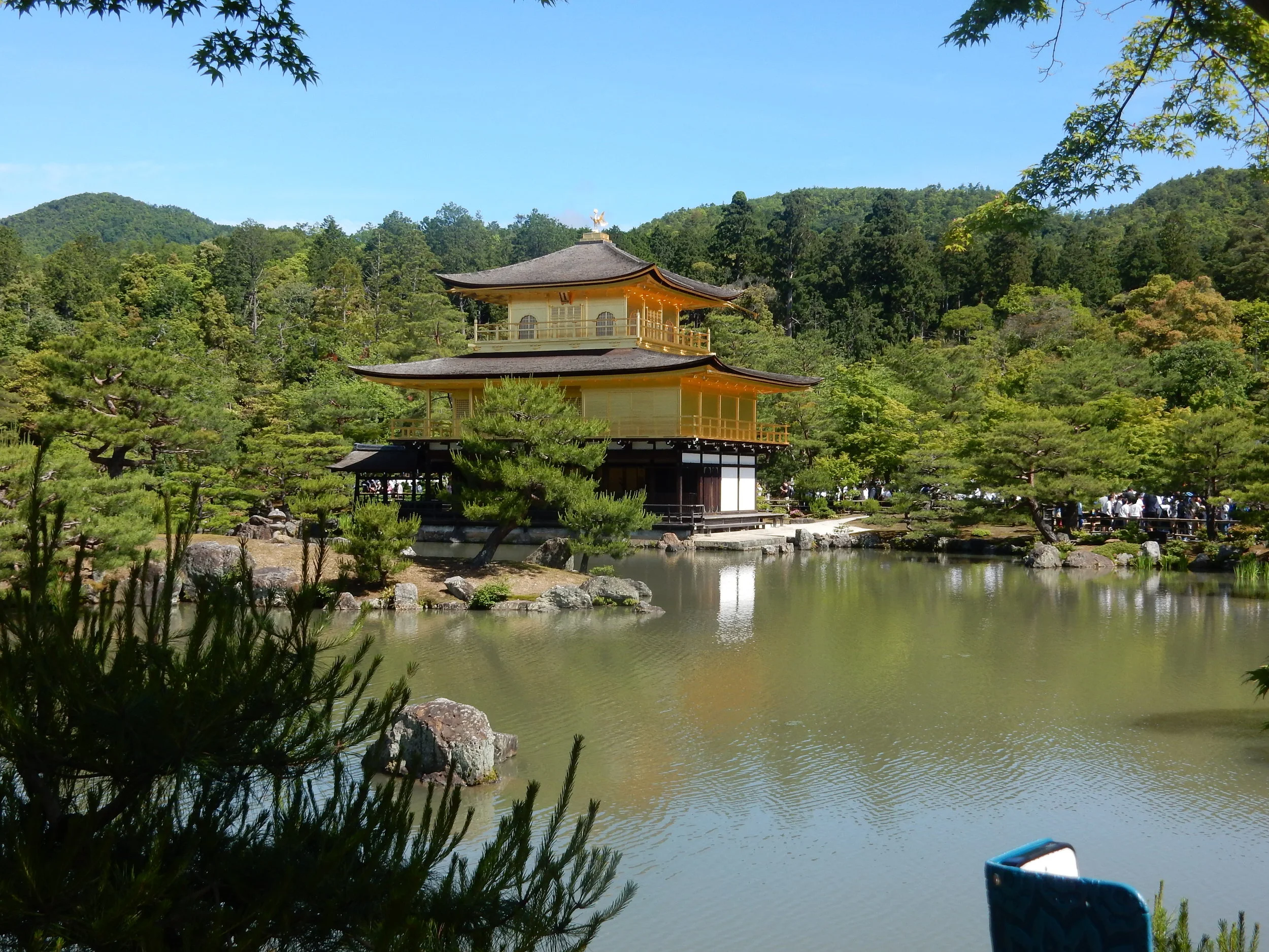 DSCN0787.JPG
