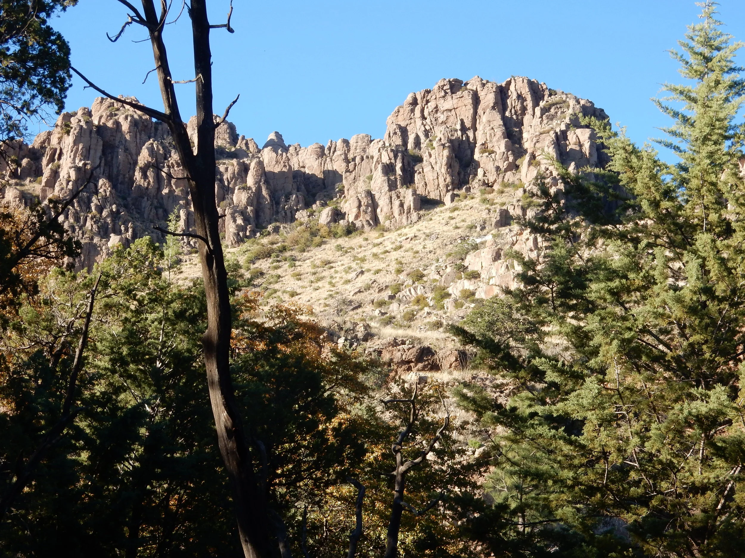 DSCN2258.JPG
