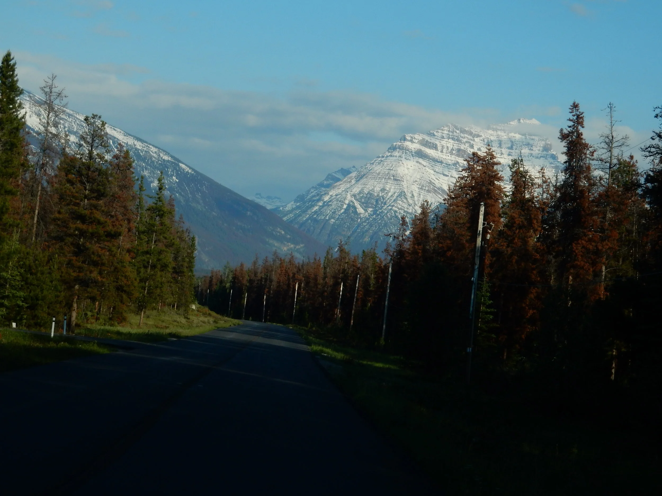 DSCN3614.jpg