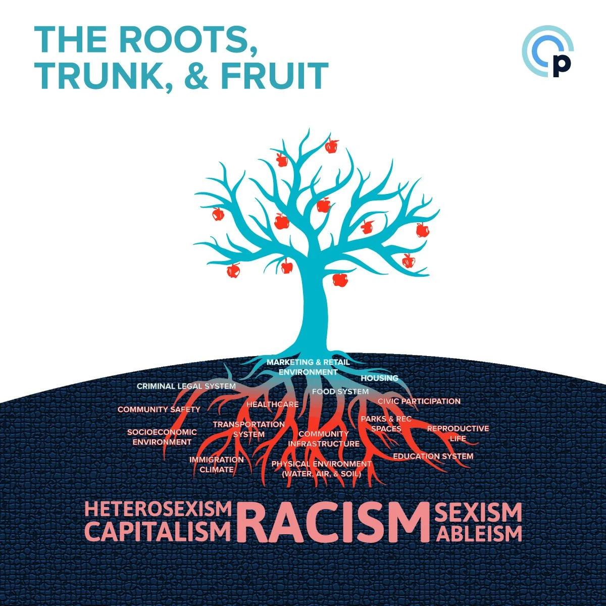2. The Roots, Trunk, & Fruit