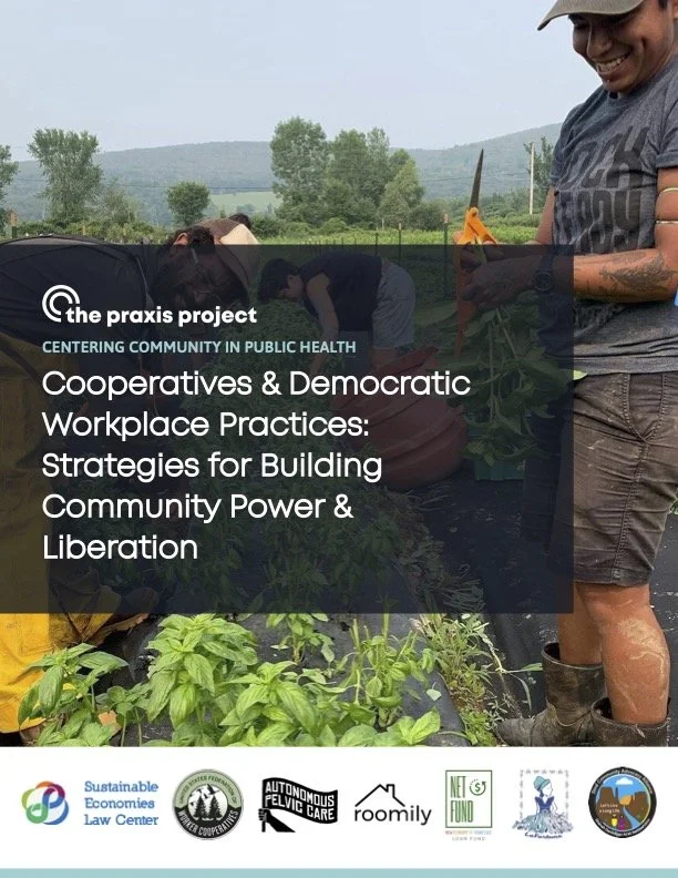 Cooperatives and Democratic Workplace Practices: Strategies for ...