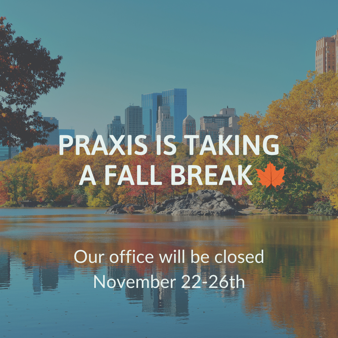 Praxis Fall Break — The Praxis Project
