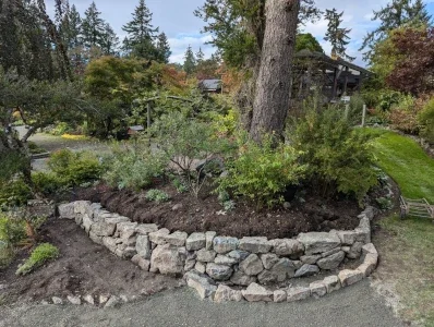 Stone retaining wall for a garden bed with a shrubbery and a tree