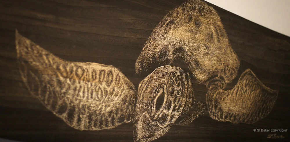 Be Free Turtle Alaia Detail