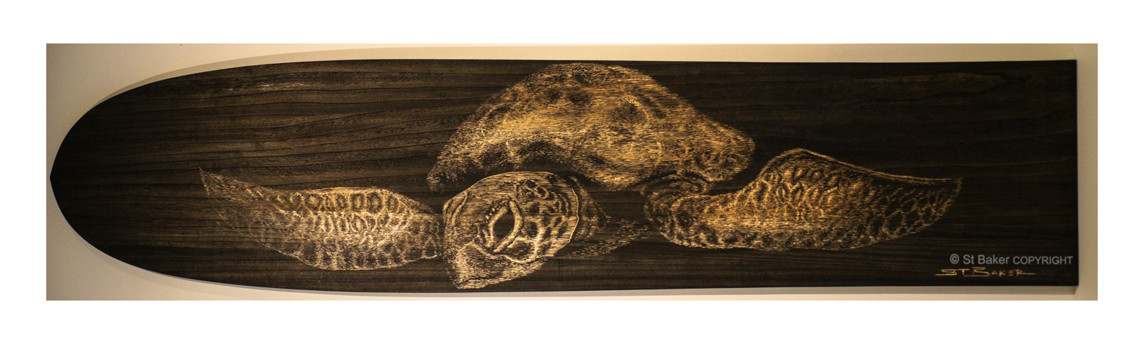 Be Free Turtle Alaia