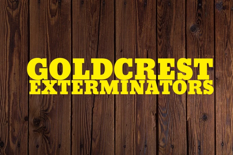 wood wallpaper 2.jpg