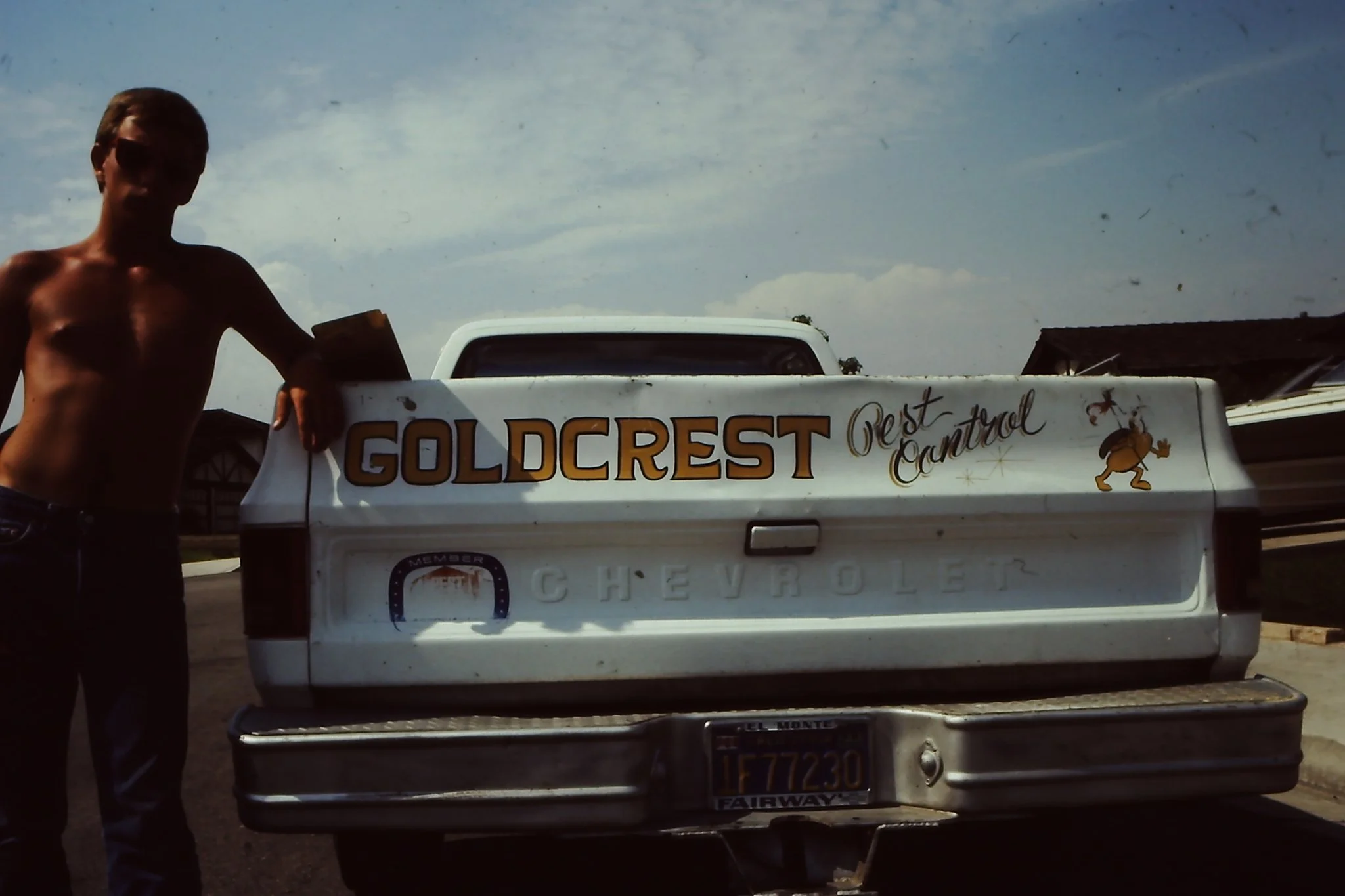 goldcrest pest control.jpg