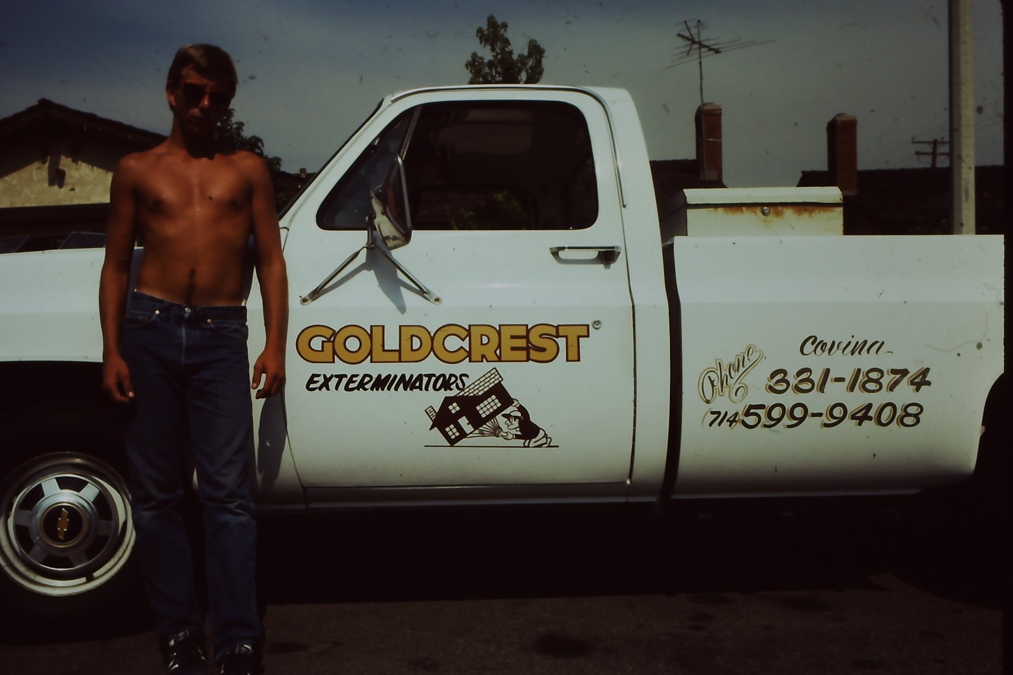 goldcrest pest control 2.jpg