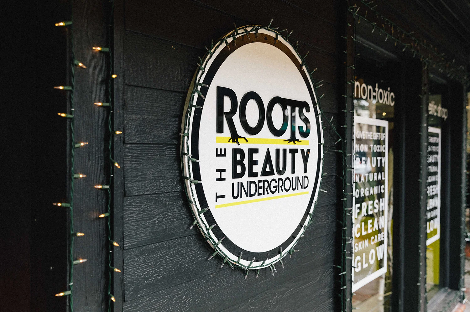 Roots 1.jpg