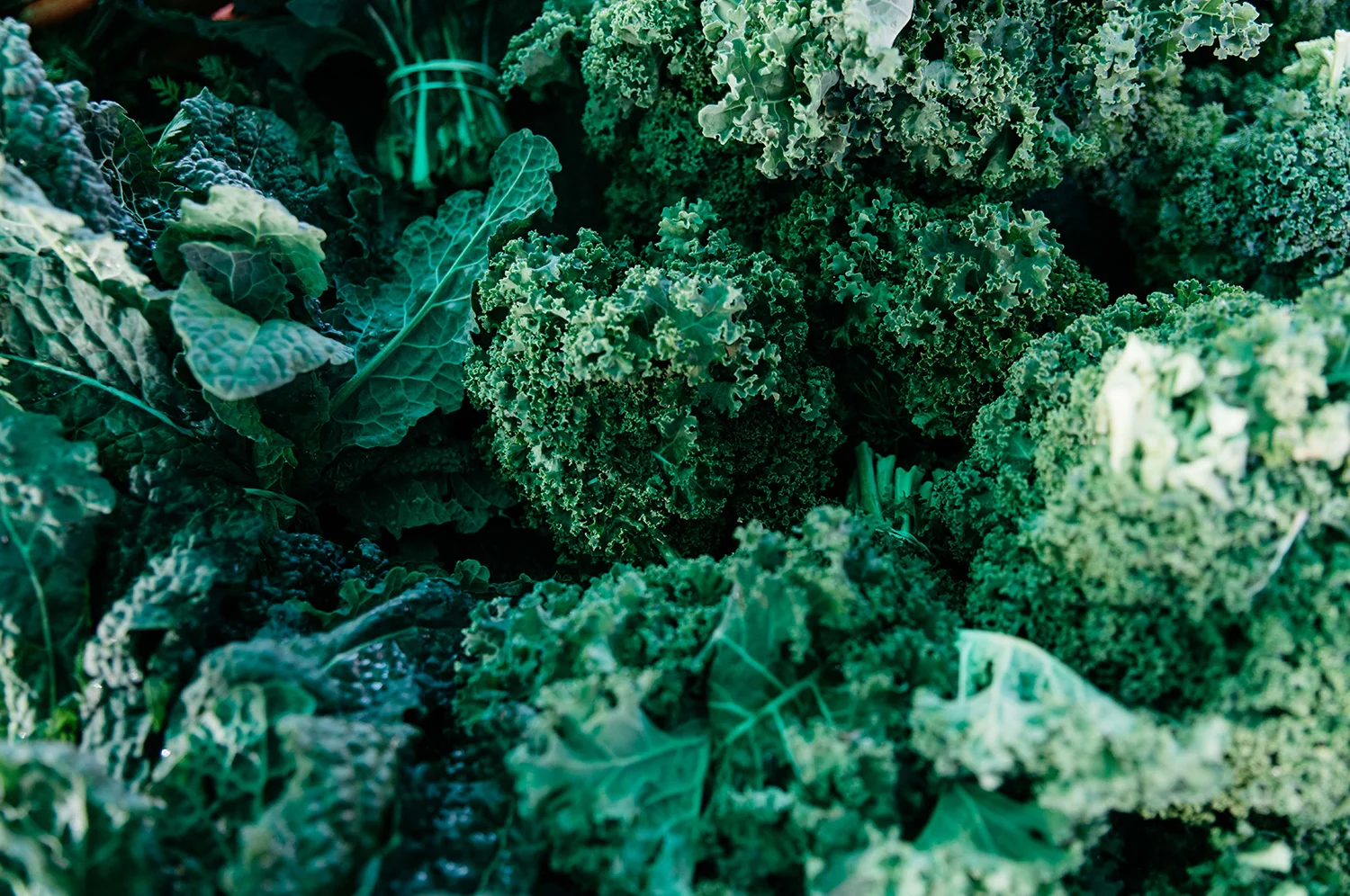 Farmer's Market 6.jpg