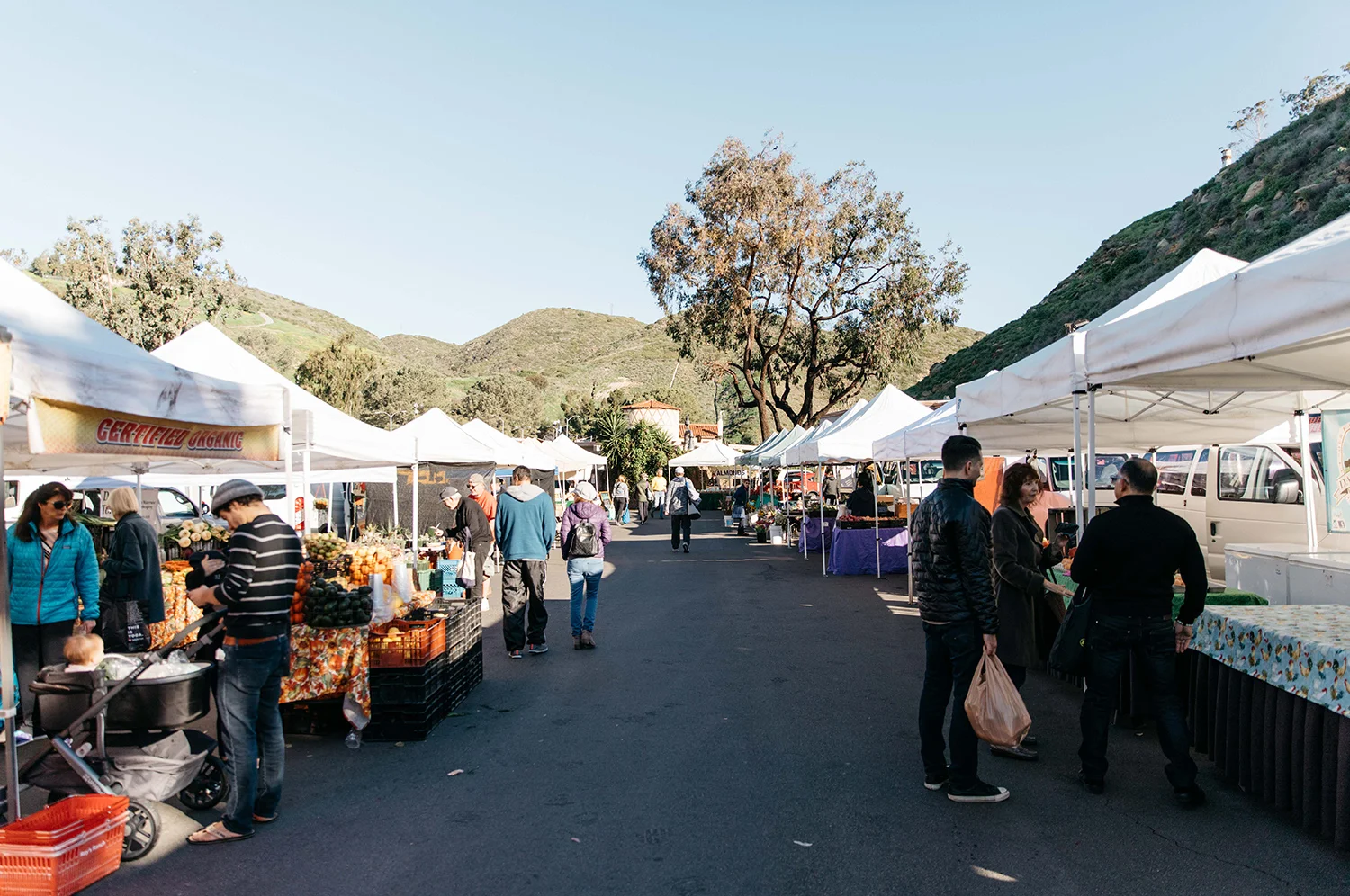 Farmer's Market 8.jpg