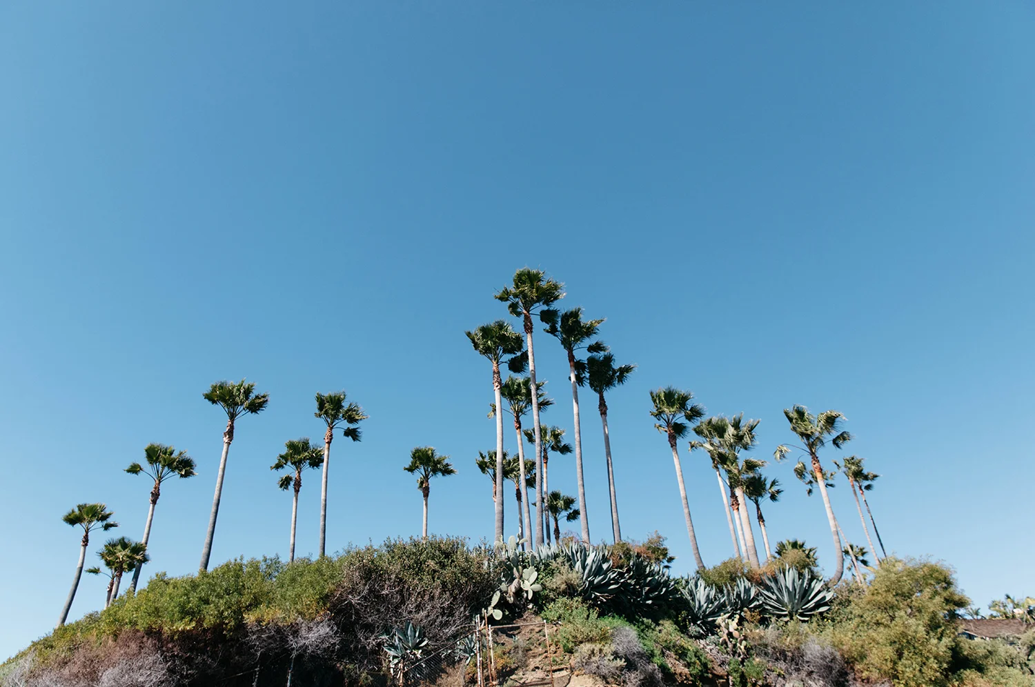 Shaw's Cove 5.jpg